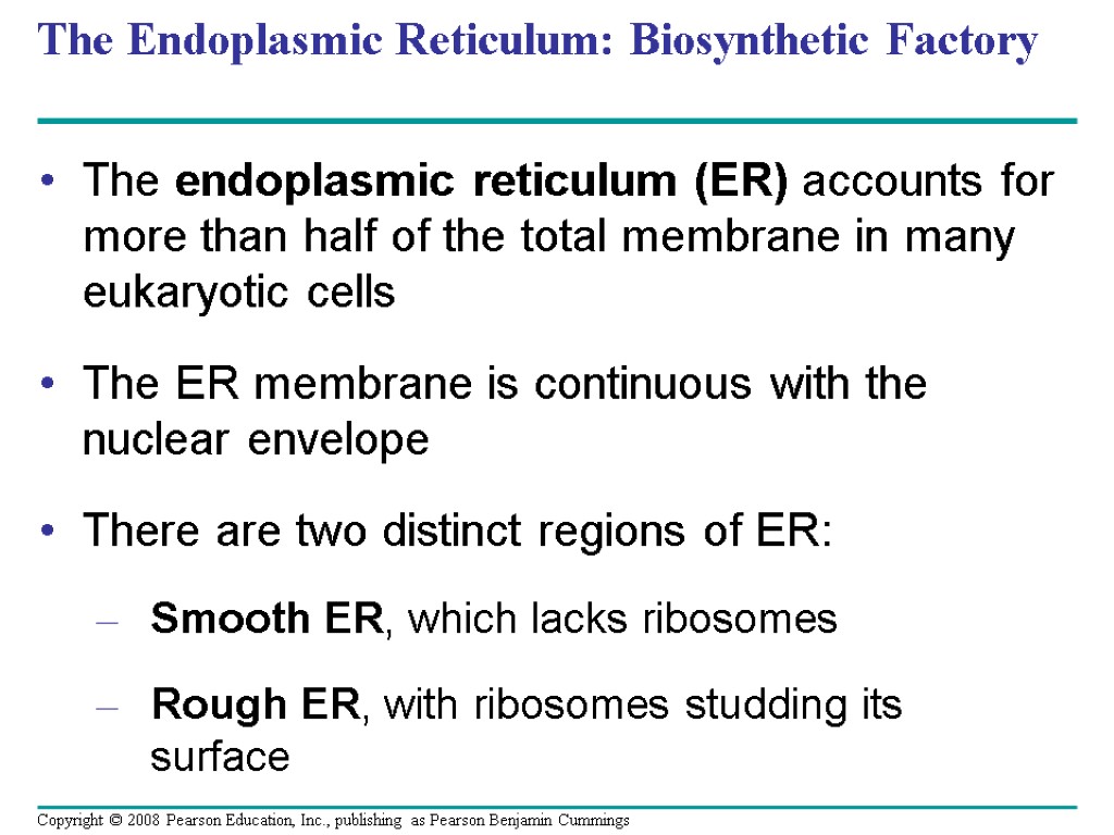 The Endoplasmic Reticulum: Biosynthetic Factory The endoplasmic reticulum (ER) accounts for more than half